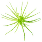 Hideup Coike Fullcast Creature Bait Chartruse Green Gold