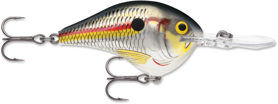 Rapala DT-10 Shad