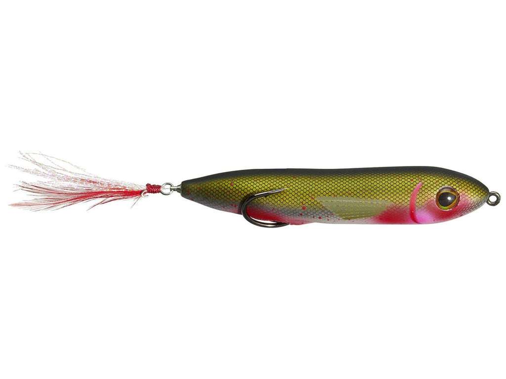 Snag Proof Zoo Dog 3/5oz Topwater Walking Bait Bloody Shad
