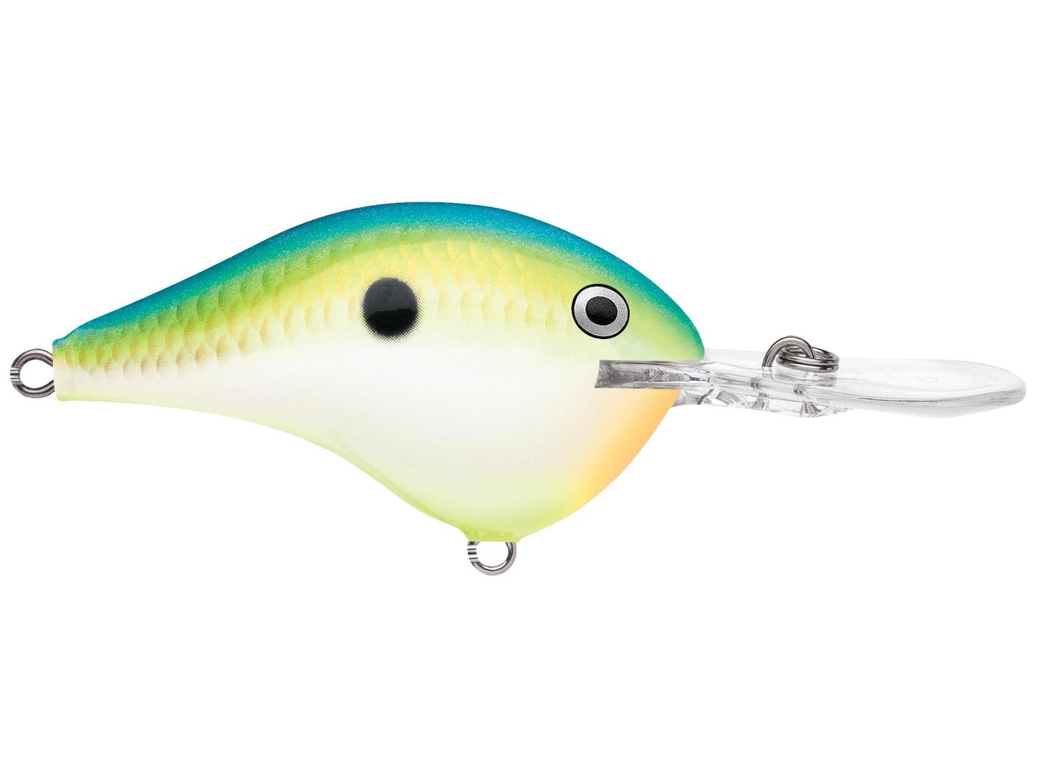 Rapala DT12 Series Crankbaits Citrus Shad