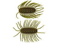NetBait BaitFuel HexTek Virus Creature Bait Green Pumpkin