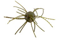 Strike King Tumbleweed Salted Watermelon Red Flake