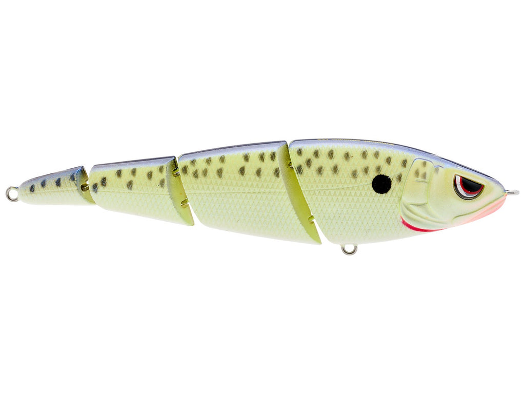 SPRO Sashimmy Swimmer Swimbait #02 Cell Mate