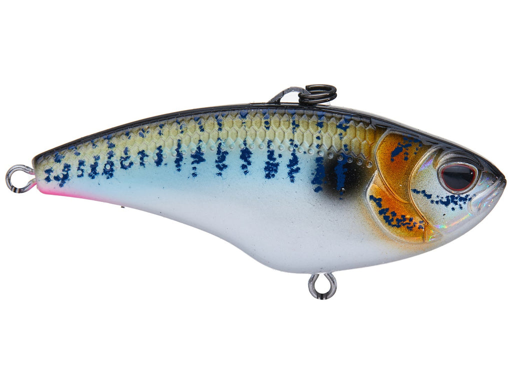 Nomad Design Swimtrex Max Lipless Crankbait Threadfin Shad