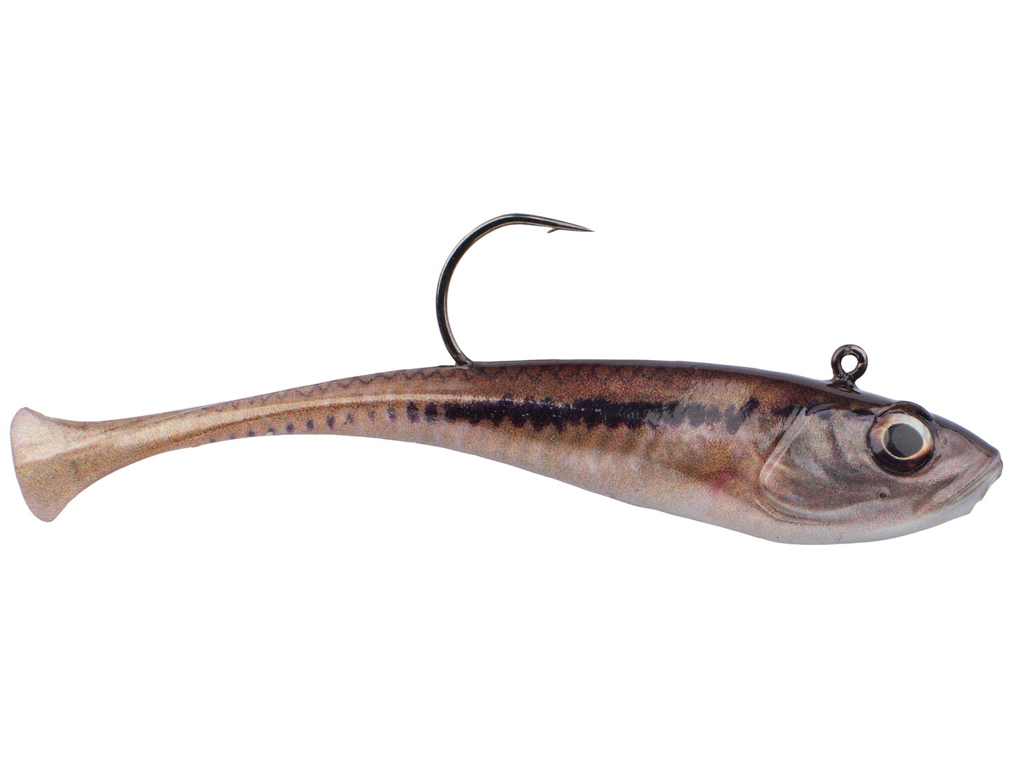Berkley Powerbait Power Switch HD Blacknose Shiner