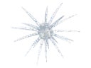 Rapala Crush City The CEO Urchin Bait Clear Water Special