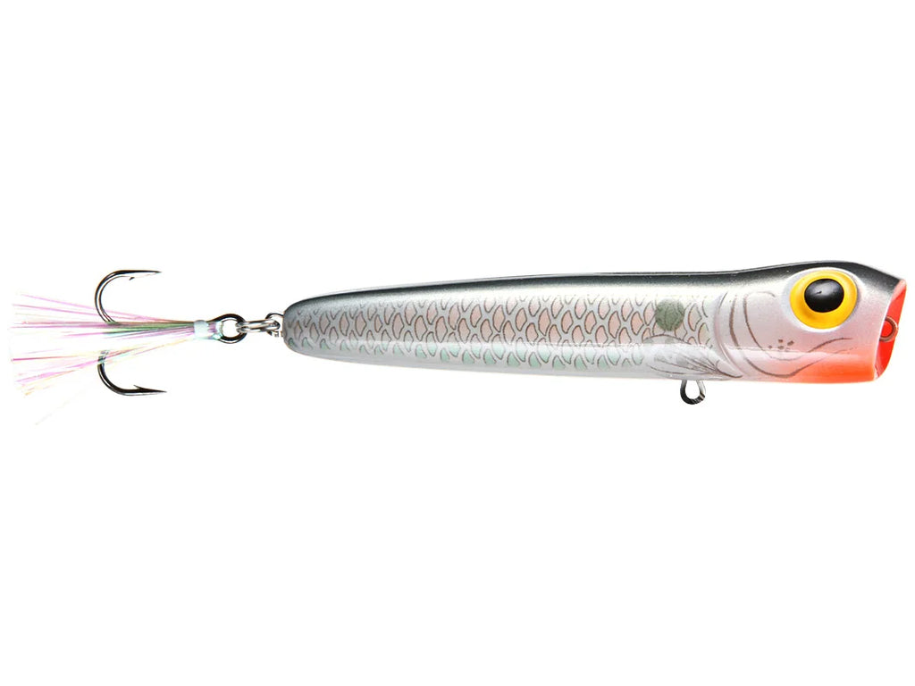Storm Chug Bug Shad 3.25"