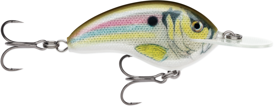 Rapala Ott’s Garage Deep Tiny 07 Crankbait Live River Shad (D)