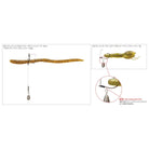 Varivas Loop Mosquito Hook 4pk