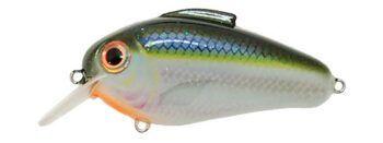 Bill Lewis Echo 1.75 Squarebill Crankbait Blue Shiner