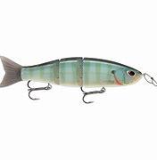 Storm Arashi Swimmer 18 Bluegill