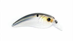 6th Sense Movement L7 Threadfin Shad