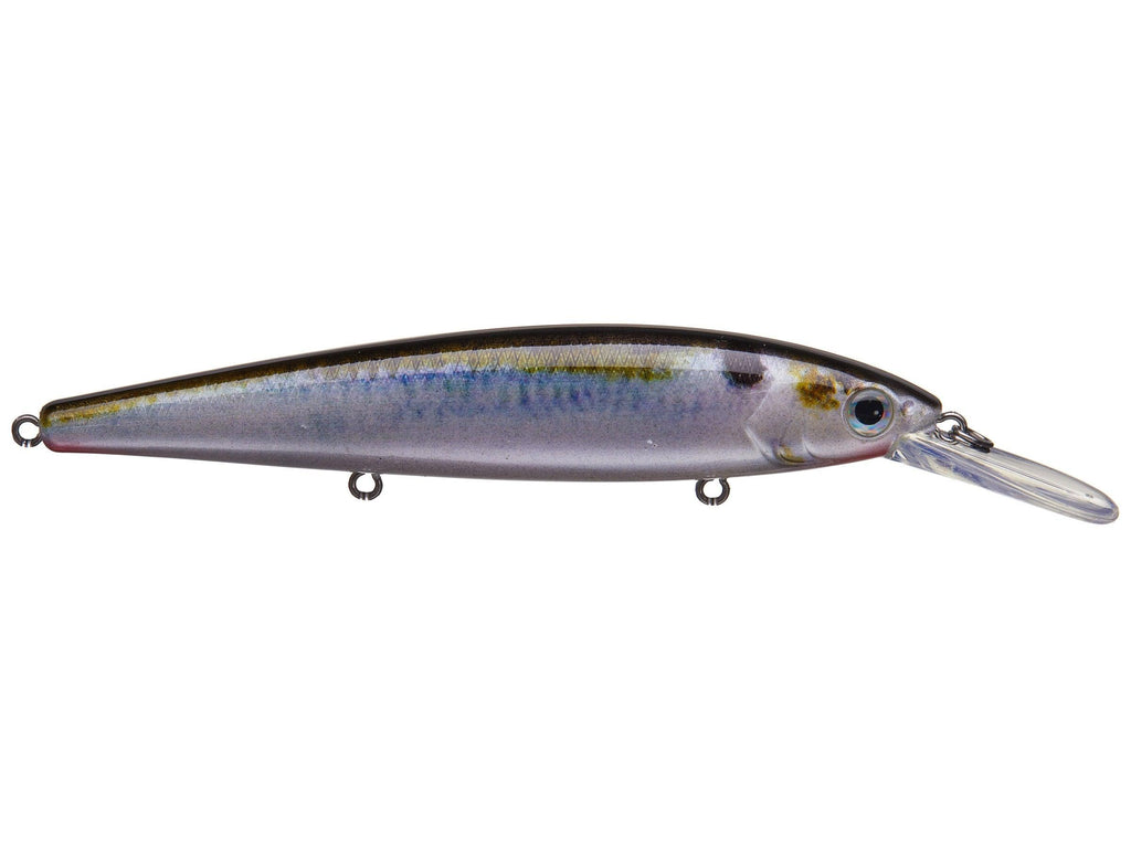 Strike King KVD 300 Deep Jerkbait Natural Shad